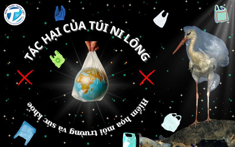 Tác hại của túi ni lông - Hiểm họa môi trường và sức khỏe&nbsp;